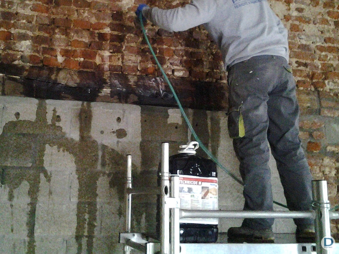 Sauvetage de bâtiment infesté par le mérule